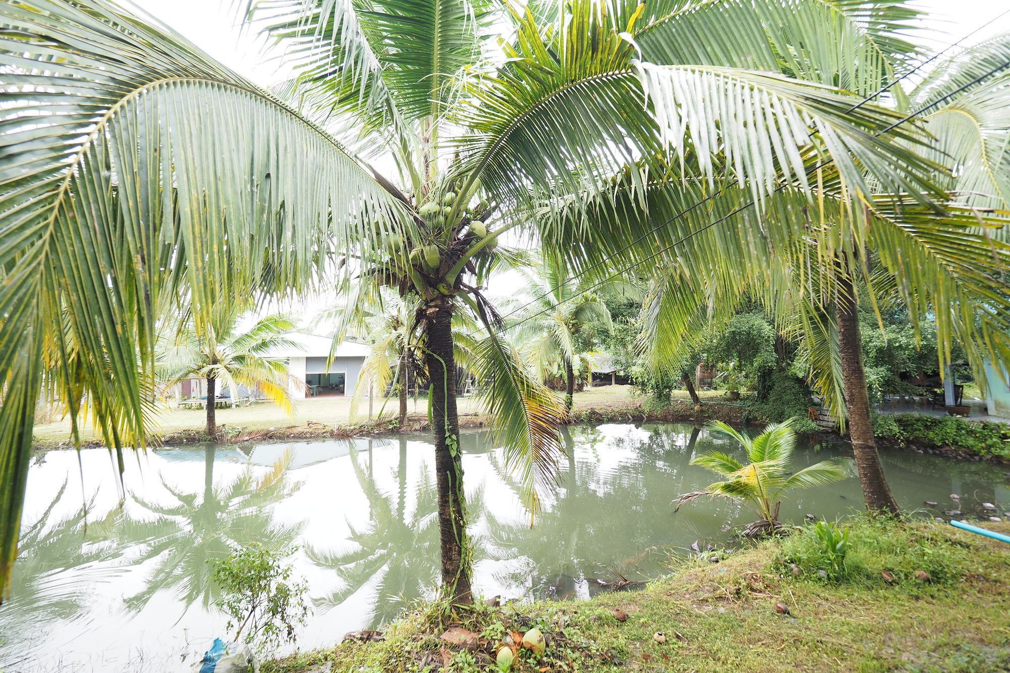 Oyo 75515 Sairung Farmstay Krabi town Exteriér fotografie
